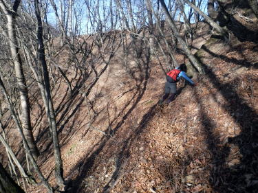 2020.11.22　本社ヶ丸から女坂峠と大沢山（ハイキング）