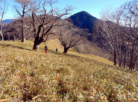 2020.11.21-23　黒法師岳（尾根歩き）