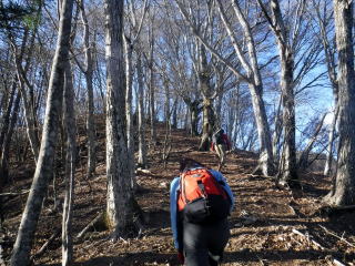 2020.11.22　本社ヶ丸から女坂峠と大沢山（ハイキング）