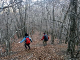 2020.11.22　本社ヶ丸から女坂峠と大沢山（ハイキング）