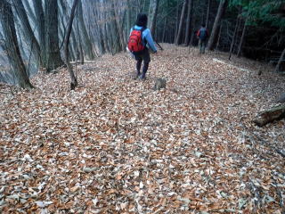 2020.11.22　本社ヶ丸から女坂峠と大沢山（ハイキング）