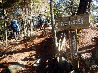 2020.11.21-23　黒法師岳（尾根歩き）