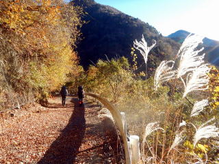 2020.11.21-23　黒法師岳（尾根歩き）