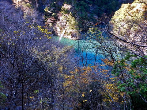 2020.11.21-23　黒法師岳（尾根歩き）