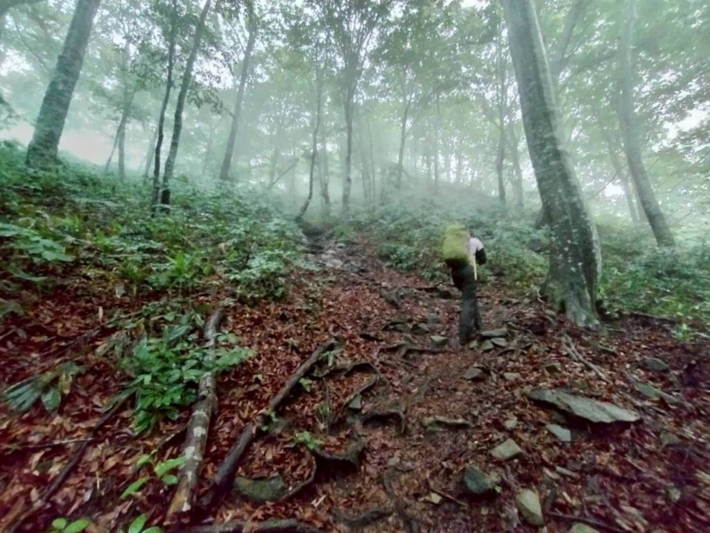 2026.6.21-22　谷川馬蹄形（尾根歩き）