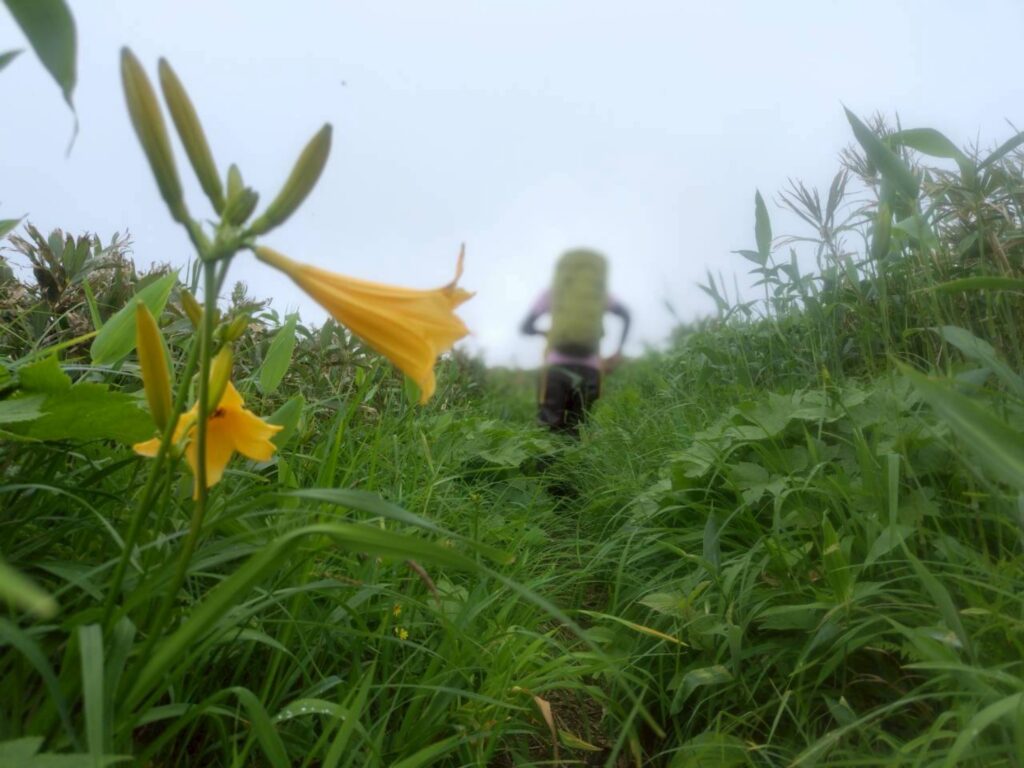 2026.6.21-22　谷川馬蹄形（尾根歩き）