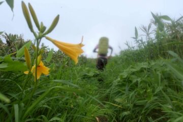 2026.6.21-22　谷川馬蹄形（尾根歩き）