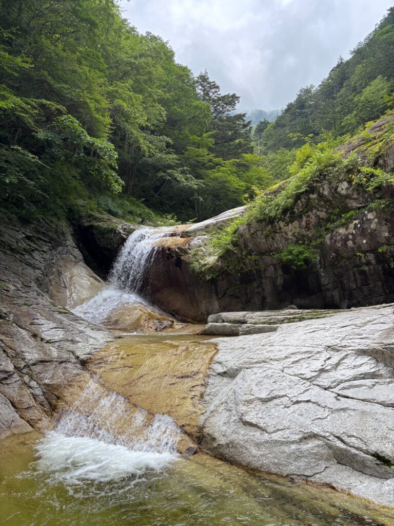 2026.7.19-20 尾白川 鞍掛沢・乗越沢(沢登り)