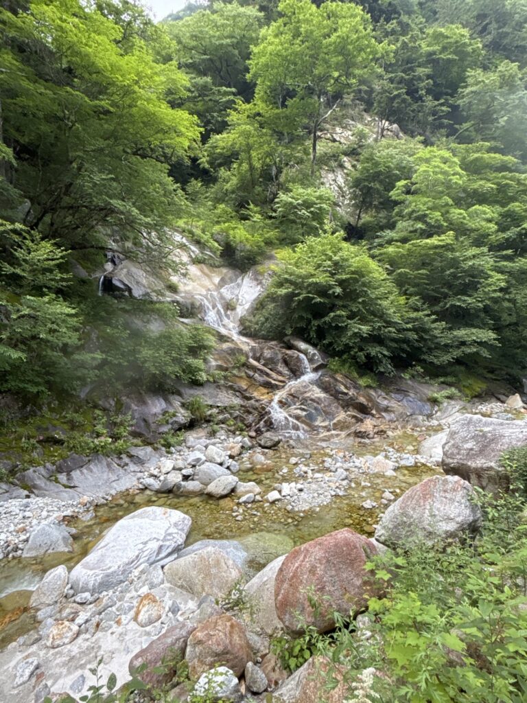 2026.7.19-20 尾白川 鞍掛沢・乗越沢(沢登り)