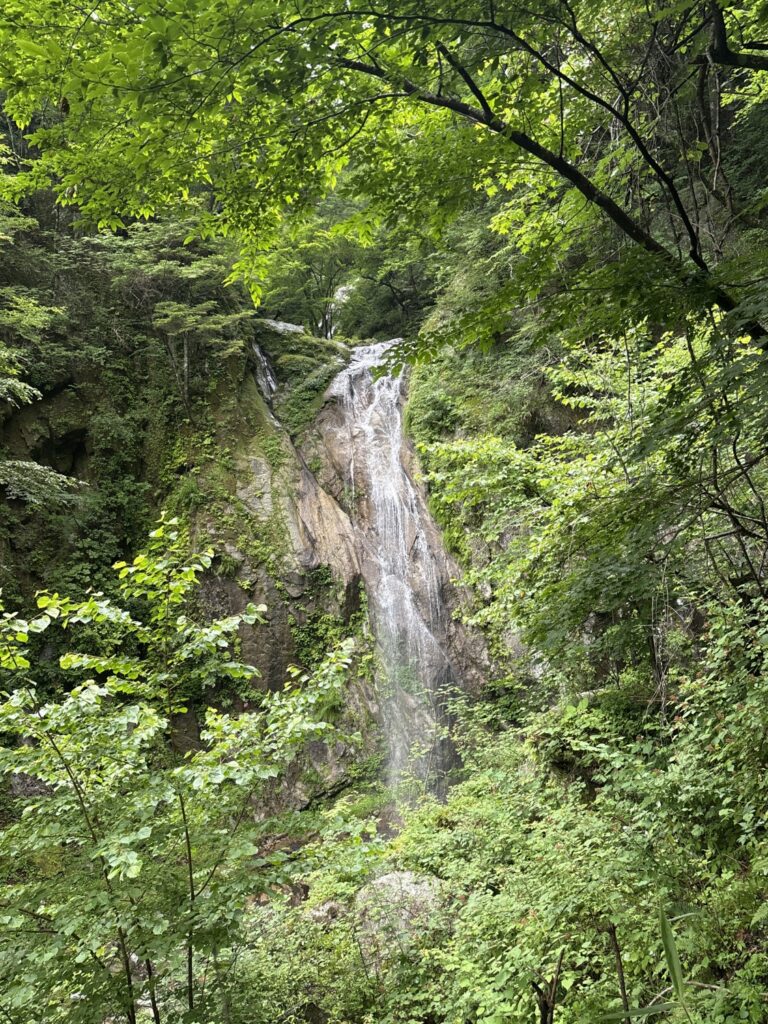 2026.7.19-20 尾白川 鞍掛沢・乗越沢(沢登り)