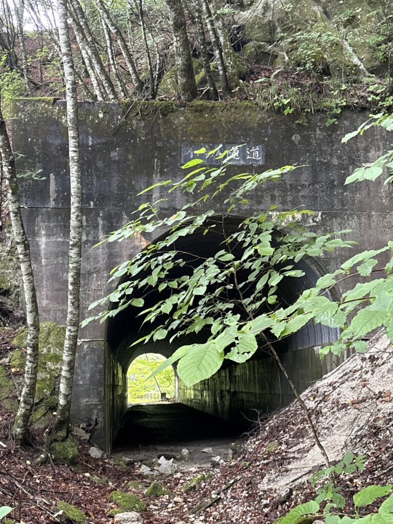 2026.7.19-20 尾白川 鞍掛沢・乗越沢(沢登り)