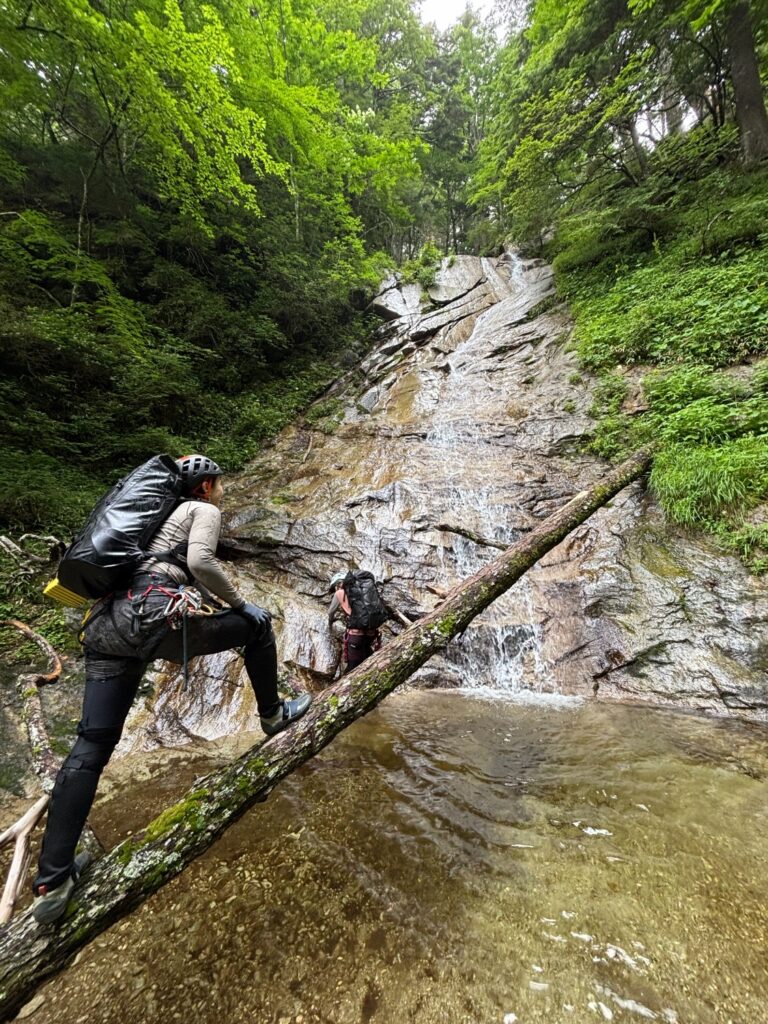2026.7.19-20 尾白川 鞍掛沢・乗越沢(沢登り)