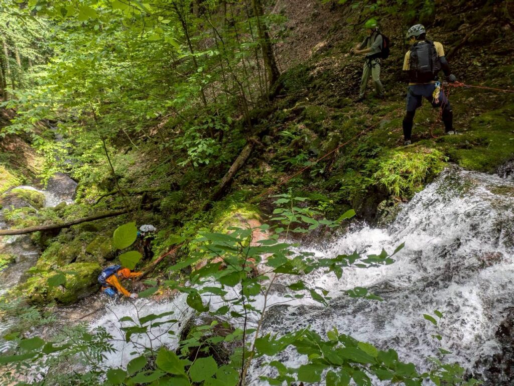 2026.7.12 シダクラ沢(沢登り)