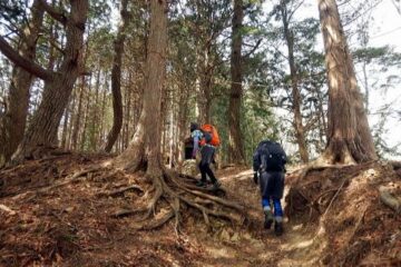 2019.3.28　権現山(上野原)（尾根歩き）