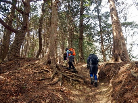2019.3.28　権現山(上野原)（尾根歩き）