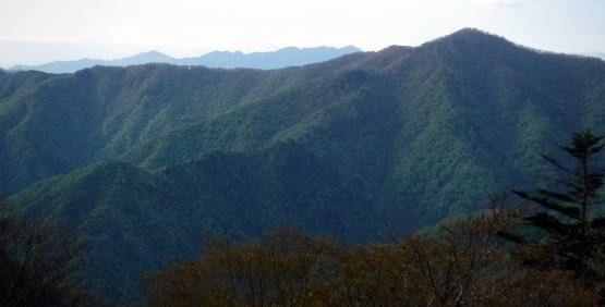 2023.5.5-6　雲取山（尾根歩き）