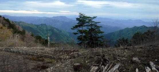 2023.5.5-6　雲取山（尾根歩き）