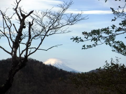 2023.5.5-6　雲取山（尾根歩き）