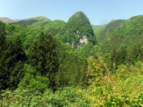 2023.5.5-6　雲取山（尾根歩き）