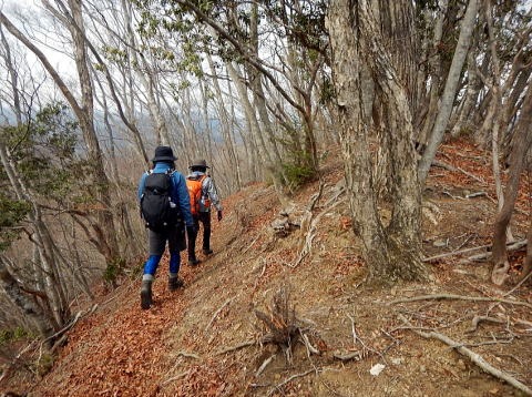 2019.3.28　権現山(上野原)（尾根歩き）