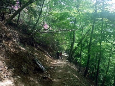 2023.5.5-6　雲取山（尾根歩き）