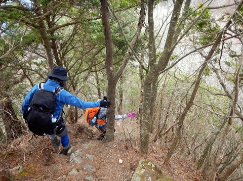 2019.3.28　権現山(上野原)（尾根歩き）