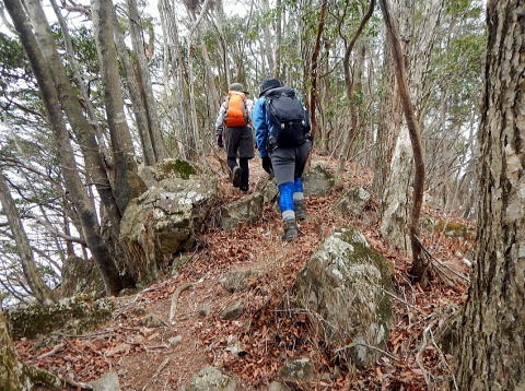 2019.3.28　権現山(上野原)（尾根歩き）