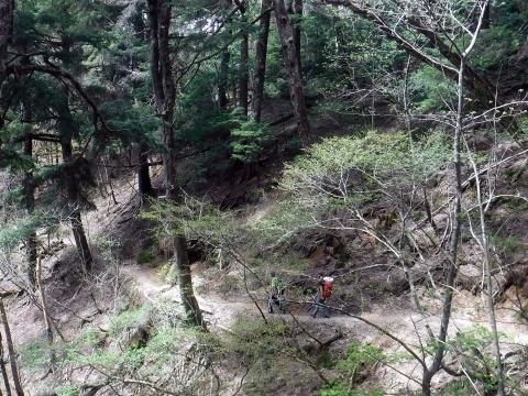 2023.5.5-6　雲取山（尾根歩き）
