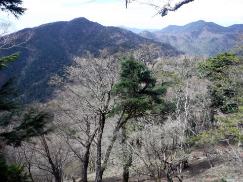 2023.5.5-6　雲取山（尾根歩き）