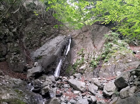 2023.5.28 葛葉川本谷(沢登り)