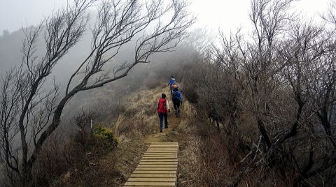 2019.3.30　塔ノ岳（尾根歩き）