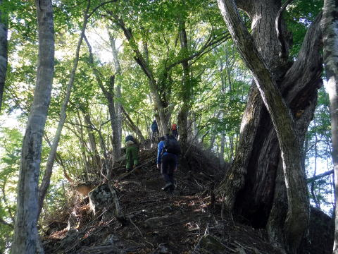 2021.10.24 大蔵高丸(尾根歩き)