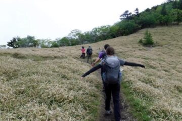 2023.6.10　牛奥ノ雁ヶ腹摺山（尾根歩き）