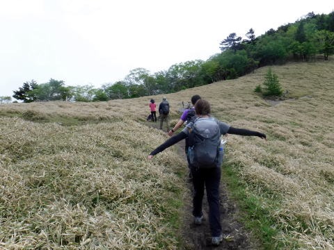 2023.6.10 牛奥ノ雁ヶ腹摺山(尾根歩き)