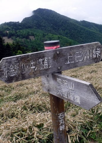 2023.6.10 牛奥ノ雁ヶ腹摺山(尾根歩き)