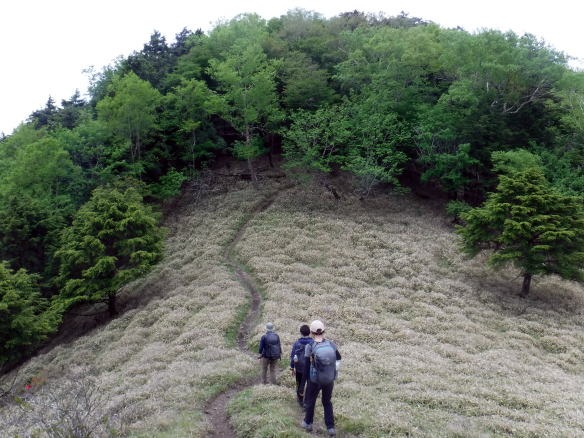 2023.6.10 牛奥ノ雁ヶ腹摺山(尾根歩き)