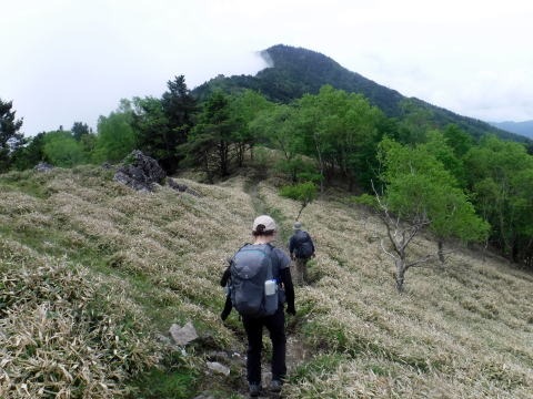 2023.6.10 牛奥ノ雁ヶ腹摺山(尾根歩き)