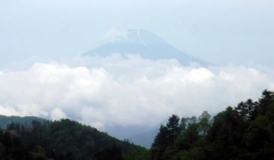 2023.6.10 牛奥ノ雁ヶ腹摺山(尾根歩き)