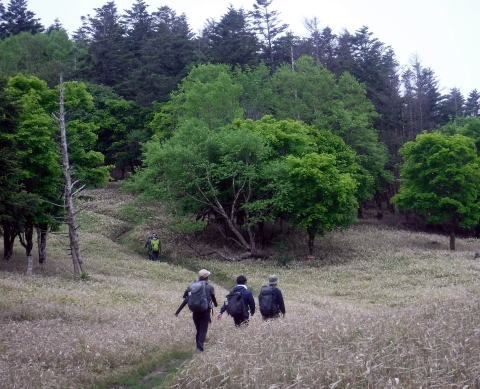 2023.6.10 牛奥ノ雁ヶ腹摺山(尾根歩き)