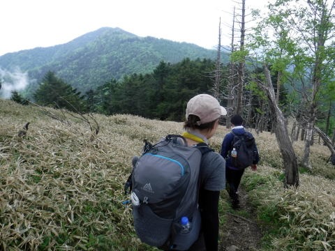 2023.6.10 牛奥ノ雁ヶ腹摺山(尾根歩き)