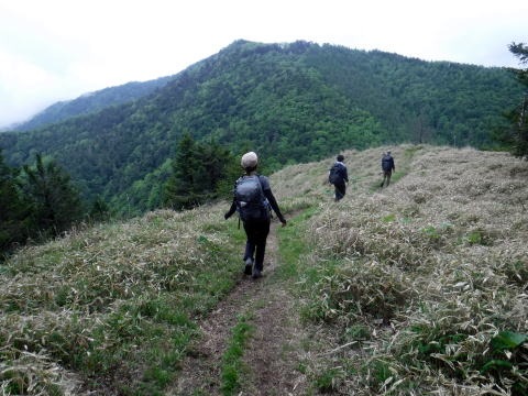 2023.6.10 牛奥ノ雁ヶ腹摺山(尾根歩き)