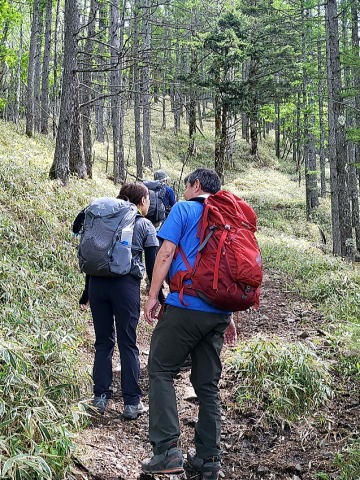 2023.6.10 牛奥ノ雁ヶ腹摺山(尾根歩き)