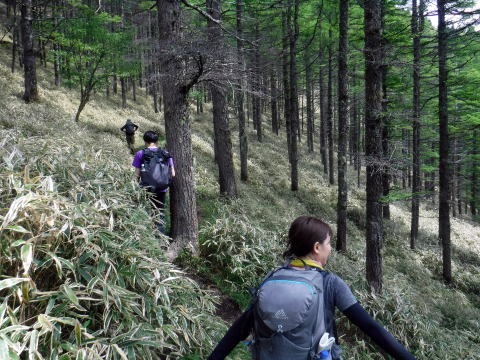 2023.6.10 牛奥ノ雁ヶ腹摺山(尾根歩き)