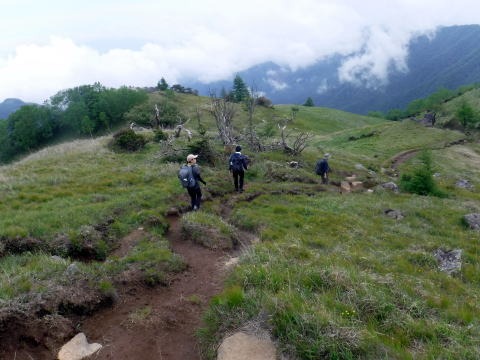 2023.6.10 牛奥ノ雁ヶ腹摺山(尾根歩き)