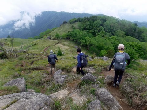 2023.6.10 牛奥ノ雁ヶ腹摺山(尾根歩き)