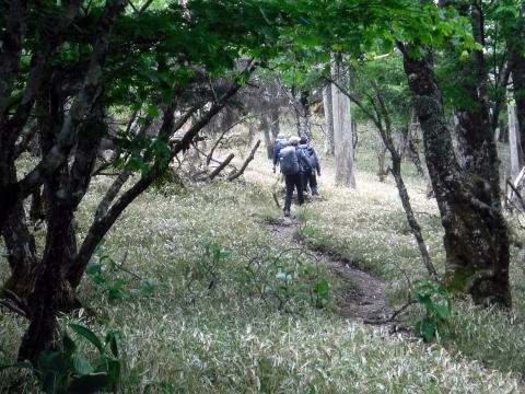 2023.6.10 牛奥ノ雁ヶ腹摺山(尾根歩き)