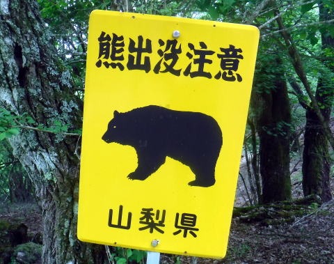 2023.6.10 牛奥ノ雁ヶ腹摺山(尾根歩き)