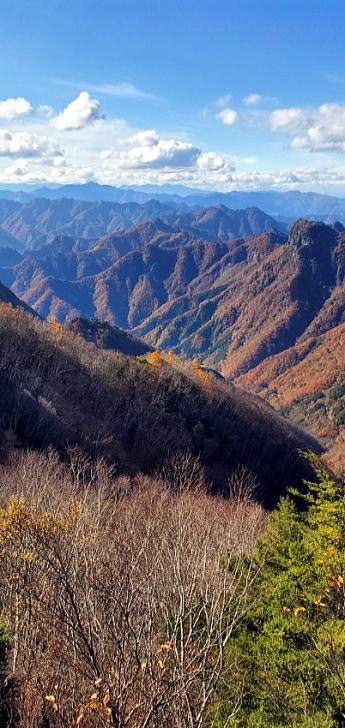 2021.11.3　両神山（尾根歩き）