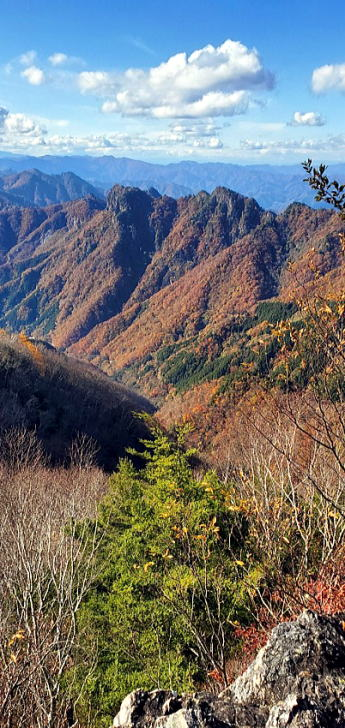 2021.11.3　両神山（尾根歩き）