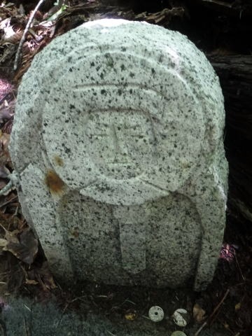 2023.7.2 源次郎岳(尾根歩き)